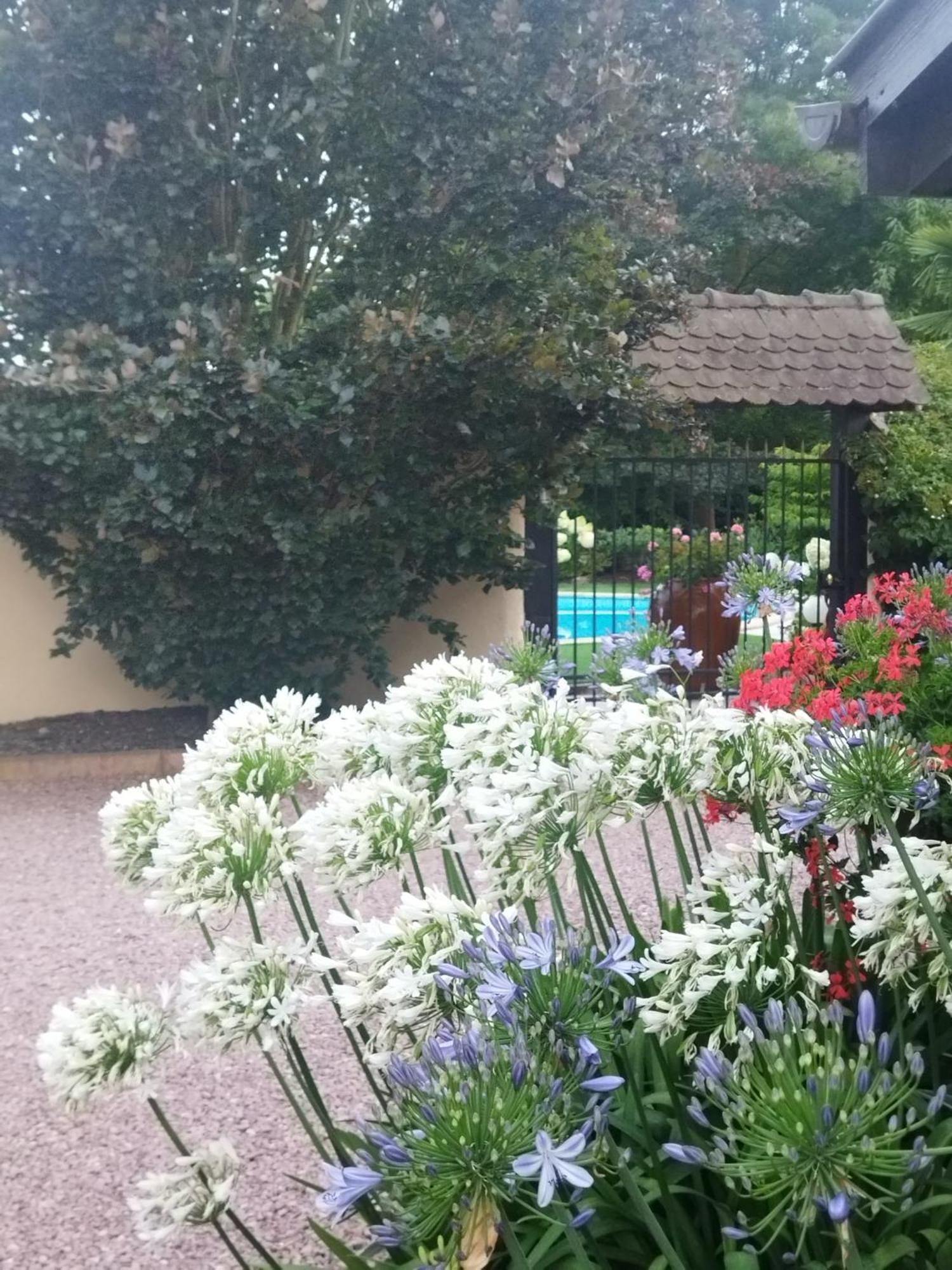 Les Hortensias Fortschwihr Kültér fotó