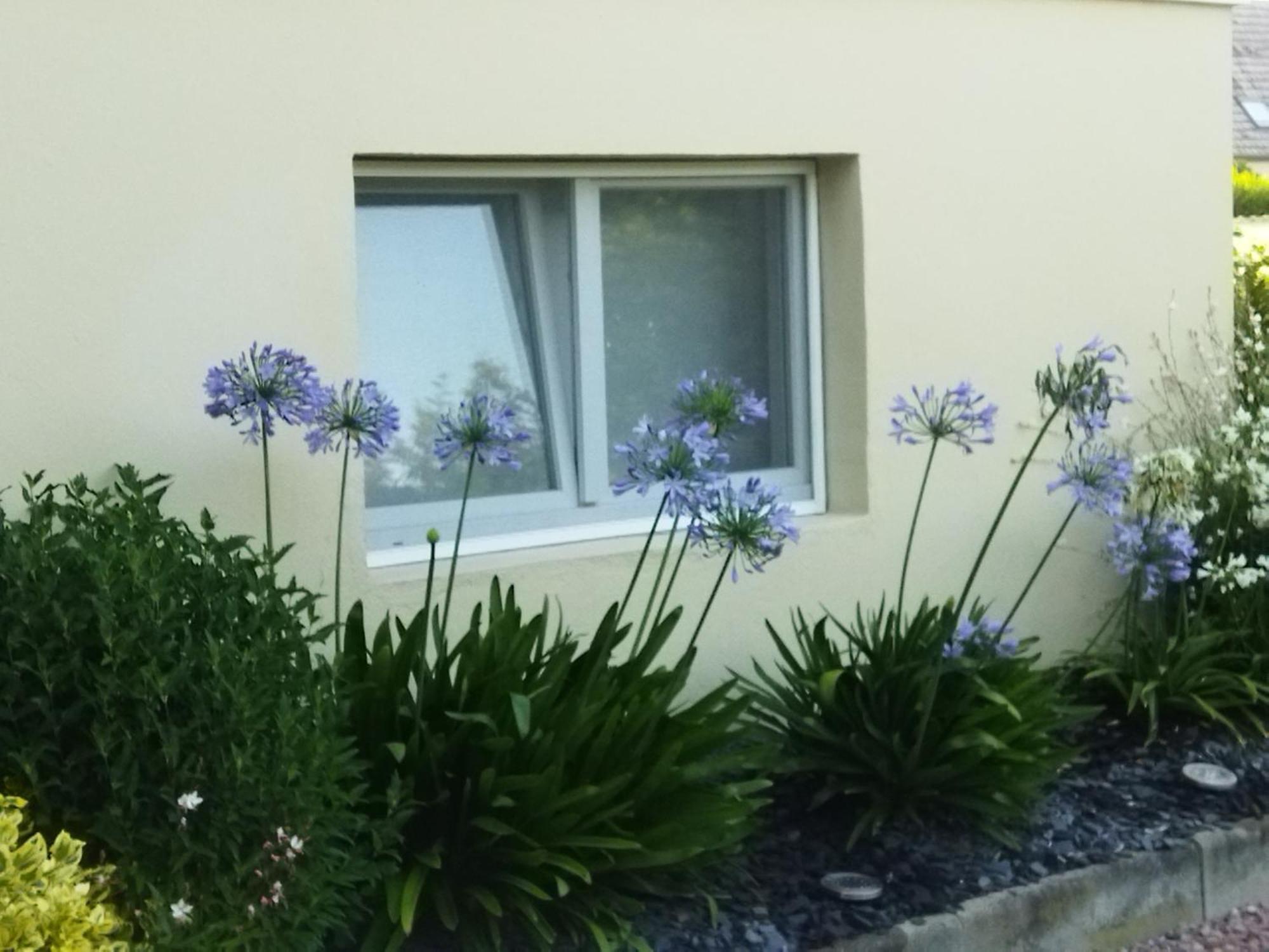 Les Hortensias Fortschwihr Kültér fotó