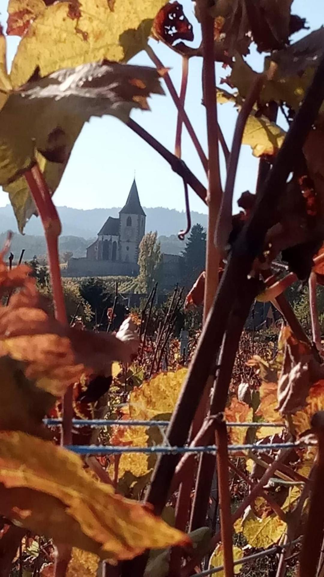 Les Hortensias Fortschwihr Kültér fotó